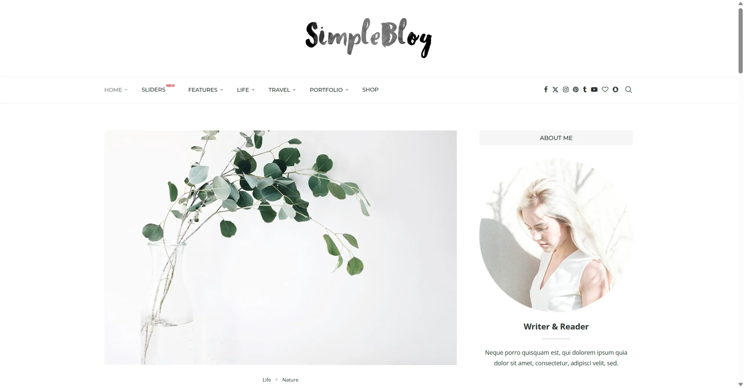 Web Simple Blog